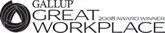 Gallup Great Workplace 2008 Award Winner